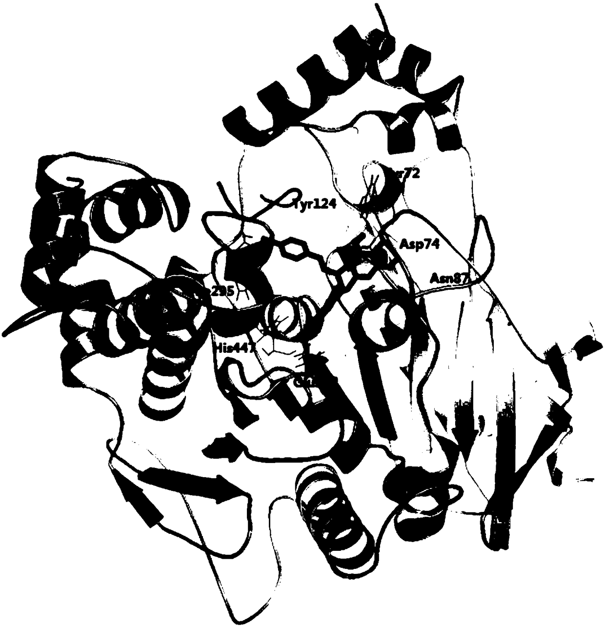 A kind of catechin derivative and its use in the preparation of the drug for inhibiting the activity of acetylcholinesterase