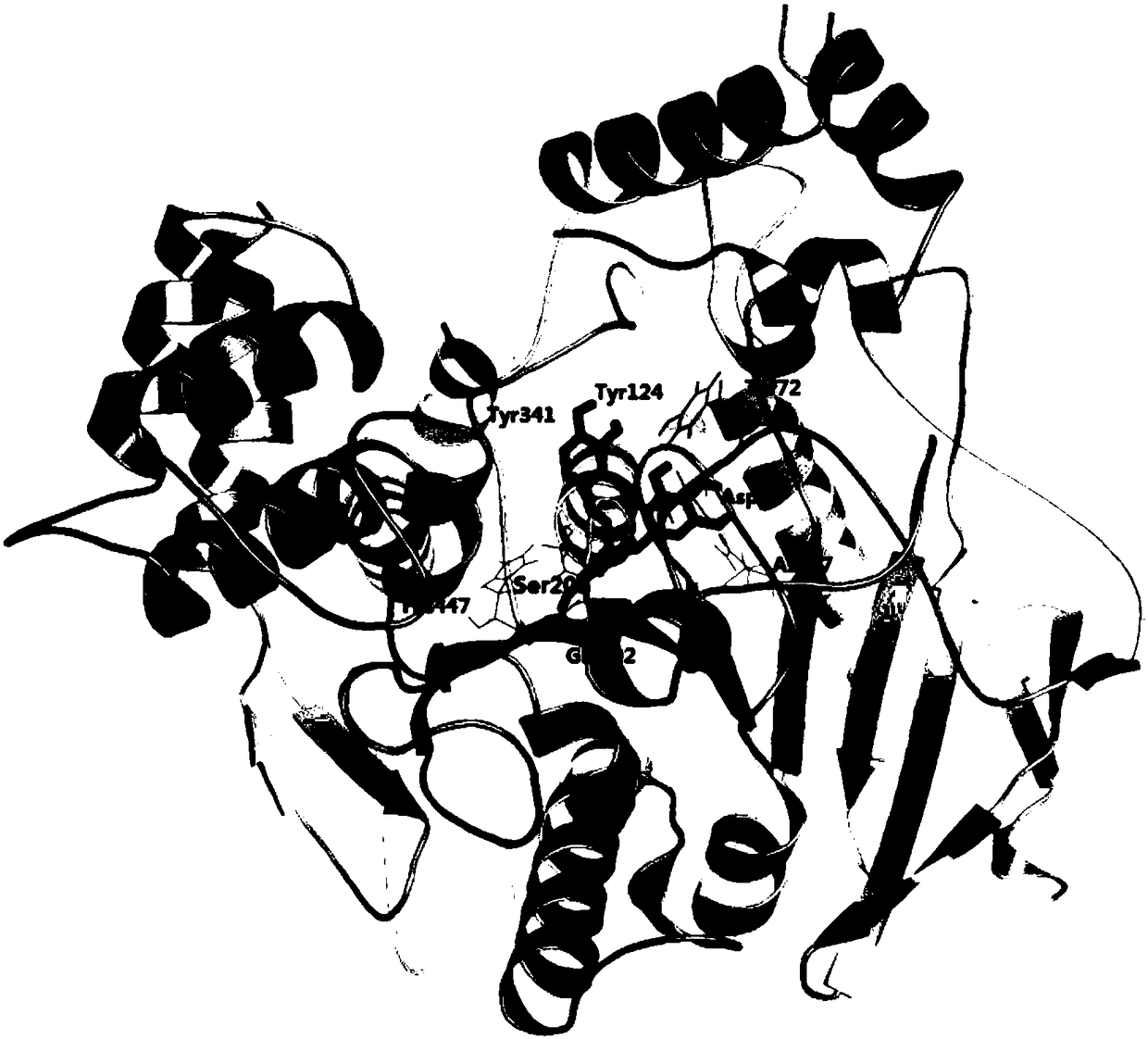 A kind of catechin derivative and its use in the preparation of the drug for inhibiting the activity of acetylcholinesterase