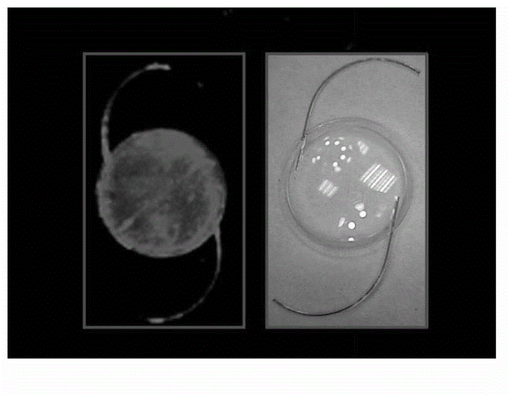 Modification process of surface bionic self-assembly multilayer film of artificial lens and artificial lens provided with surface bionic self-assembly multilayer film