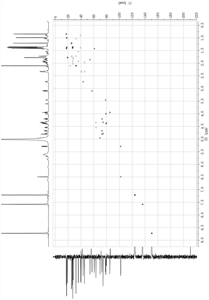 Pseudoginsenoside 12-keto-pf11 and its extraction method and its medicinal use