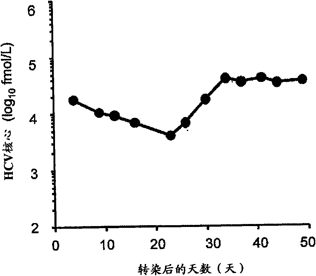 Nucleic acid containing chimeric gene derived from hepatitis type-C virus