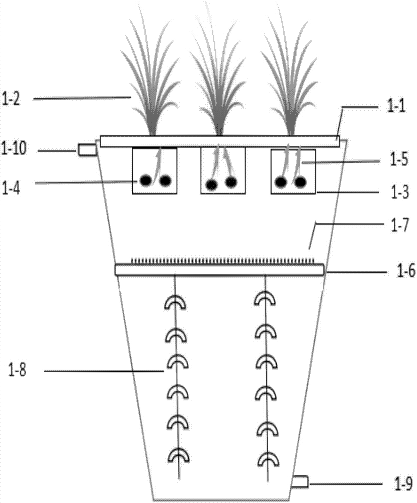 Combined floating bed device by coupling microorganisms and microelectrolysis and domestic sewage treatment method