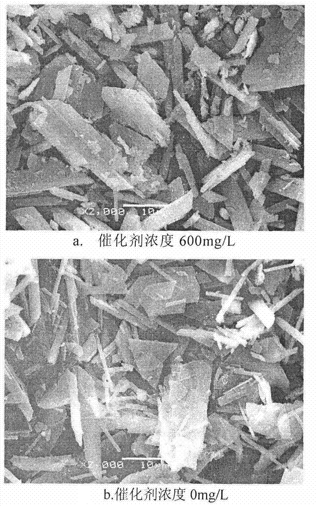 Energy-saving and synergizing wet desulfurization catalyst and using thereof