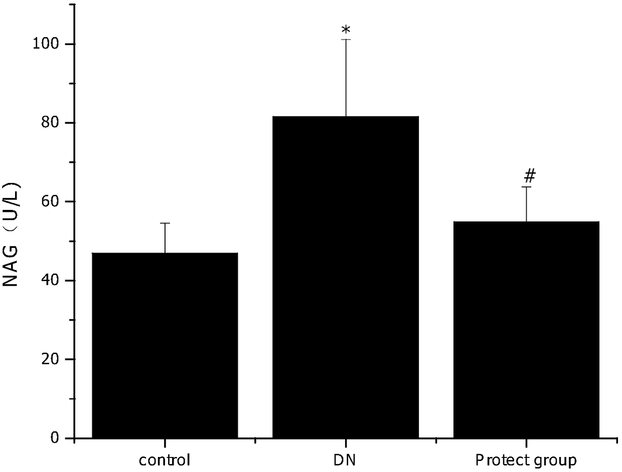 A kind of construction method of animal model of diabetic nephropathy