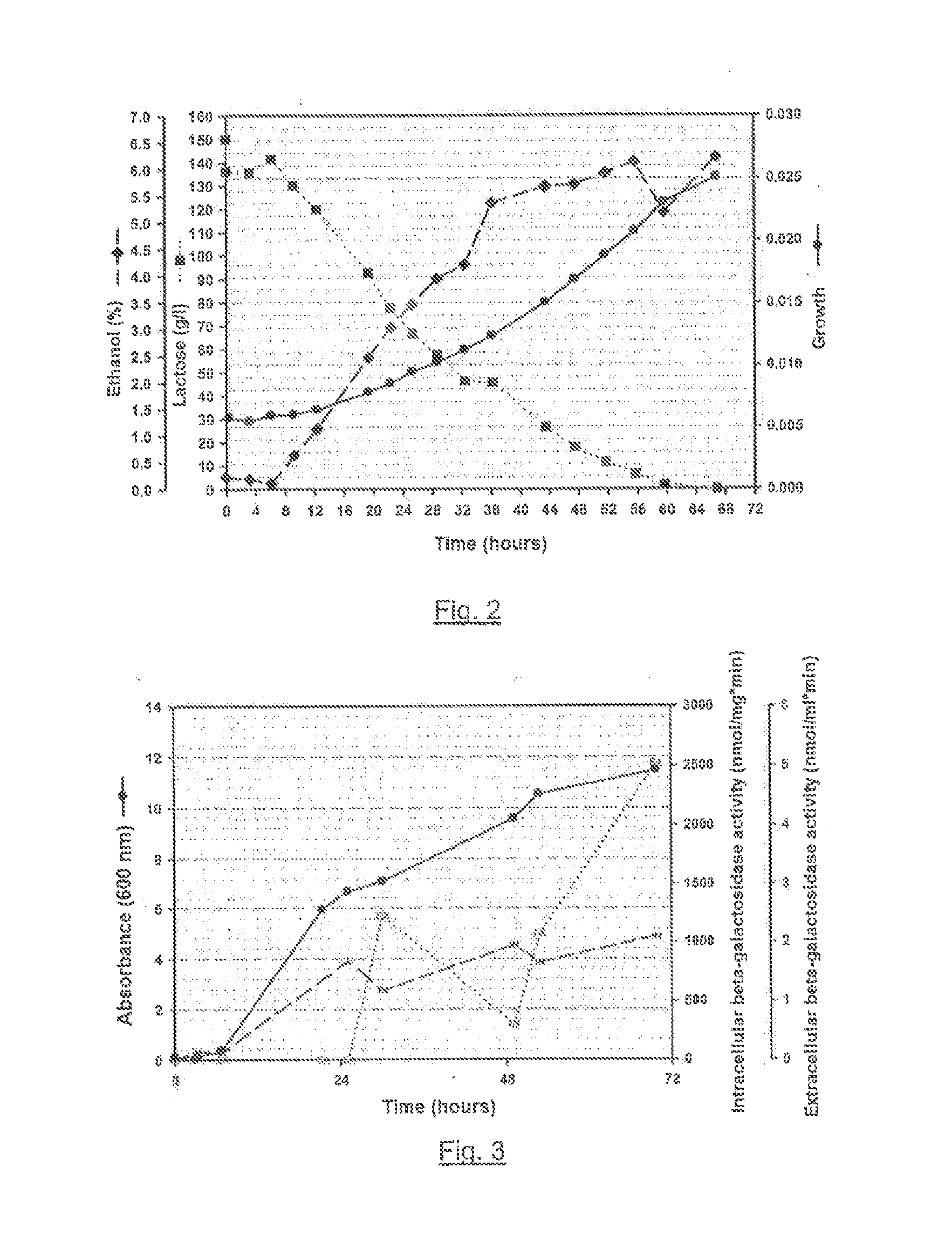 Kluyveromyces lactis yeast strain and methods for the production of sugars, ethanol, beta-galactosidase and biomass