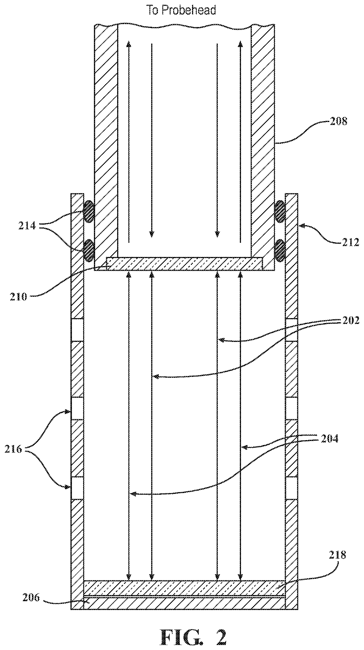 Raman immersion probe systems and methods