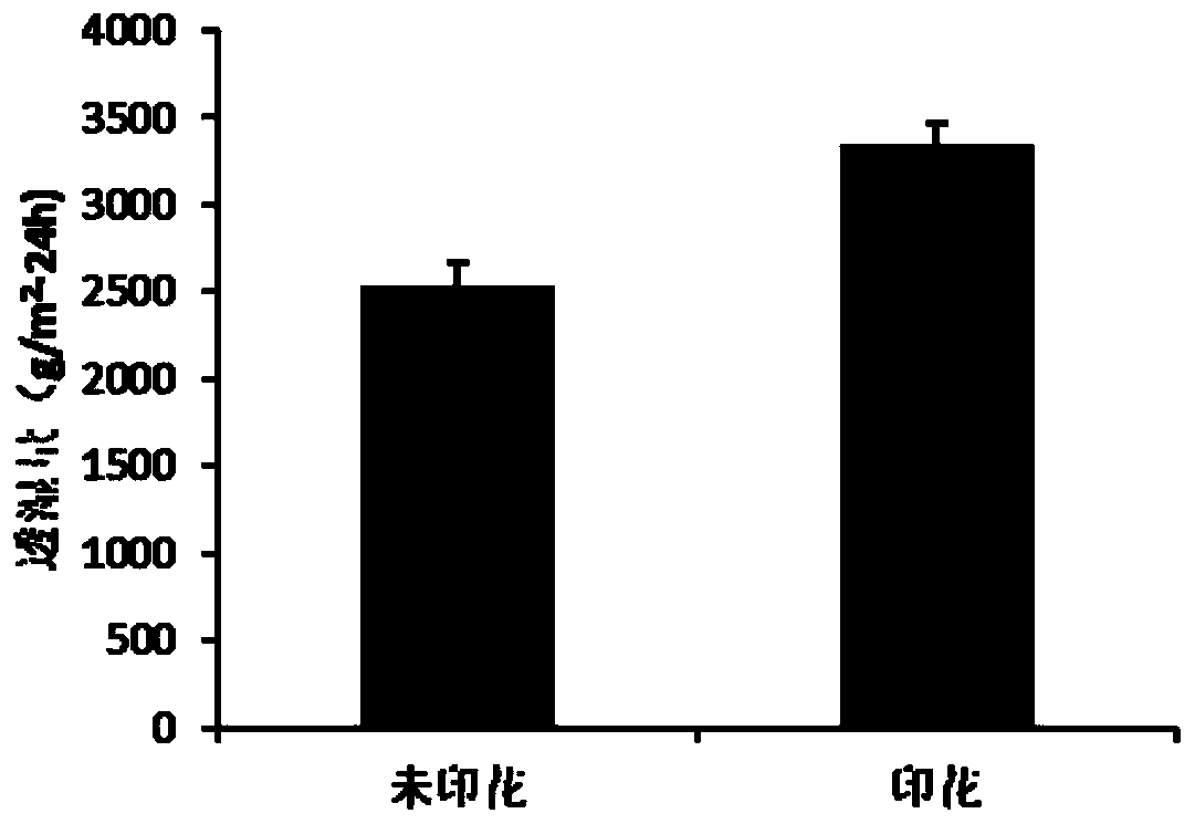 Thermal transfer printing method for waterproof moisture-permeable nanofiber membrane