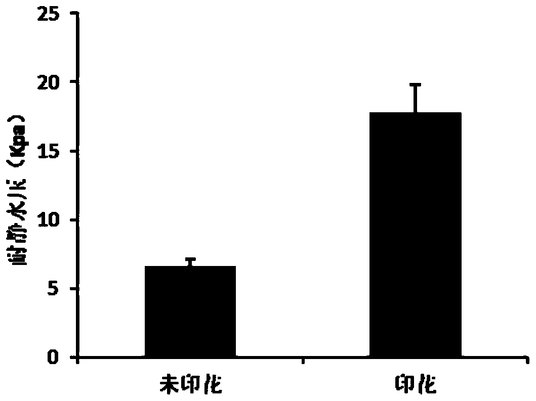 Thermal transfer printing method for waterproof moisture-permeable nanofiber membrane