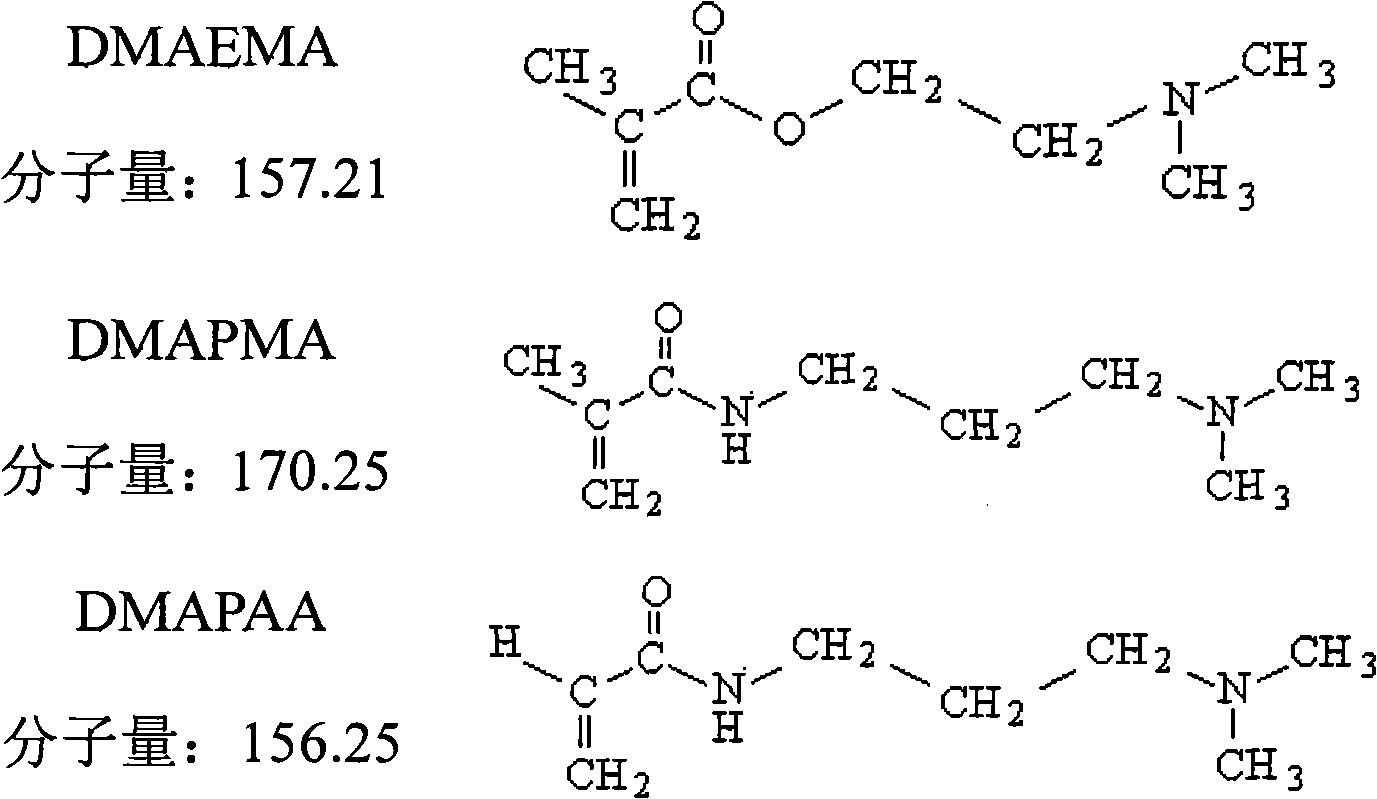 Ternary zwitterionic hair holding polymer for hair and preparation method thereof