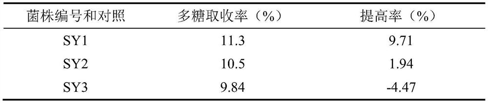 Method for extracting mulberry leaf polysaccharide by utilizing microbial fermentation method