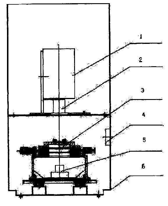 Biochip detecting system