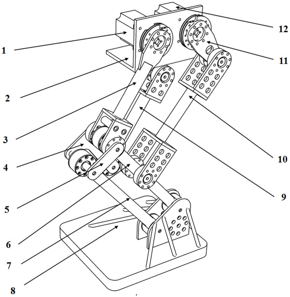 A bionic leg structure for legged robots