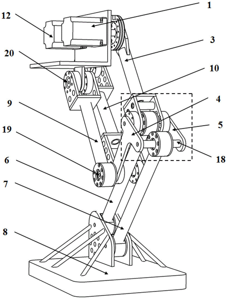 A bionic leg structure for legged robots