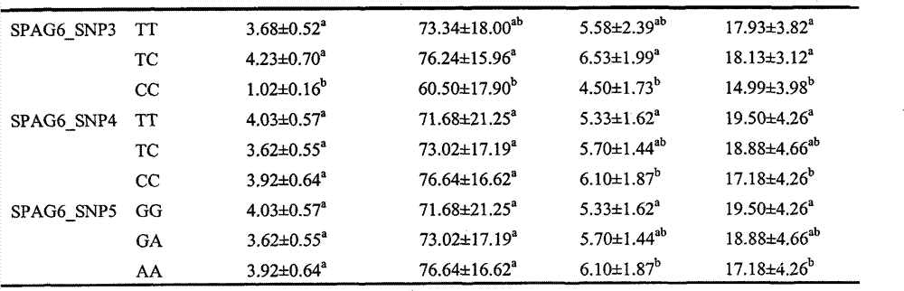 SNPs (Single nucleotide polymorphisms) sites of SPAG6 (Sperm associated antigen 6) gene for screening chicken with excellent sperm quality, heplotype composition thereof and application of heplotype composition