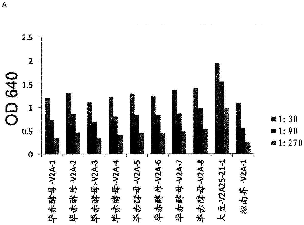 Means and methods for oral protein delivery