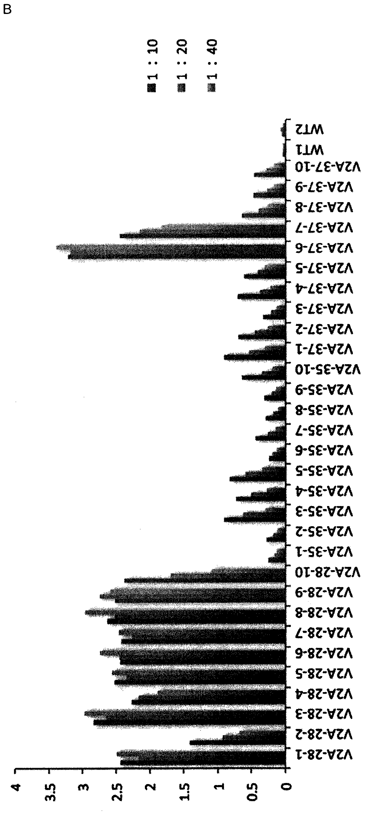 Means and methods for oral protein delivery