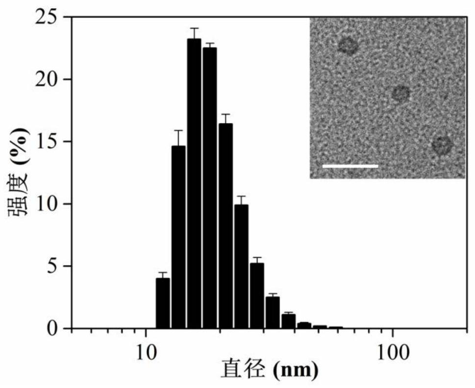 A kind of photodynamic therapy compound and its preparation method and application