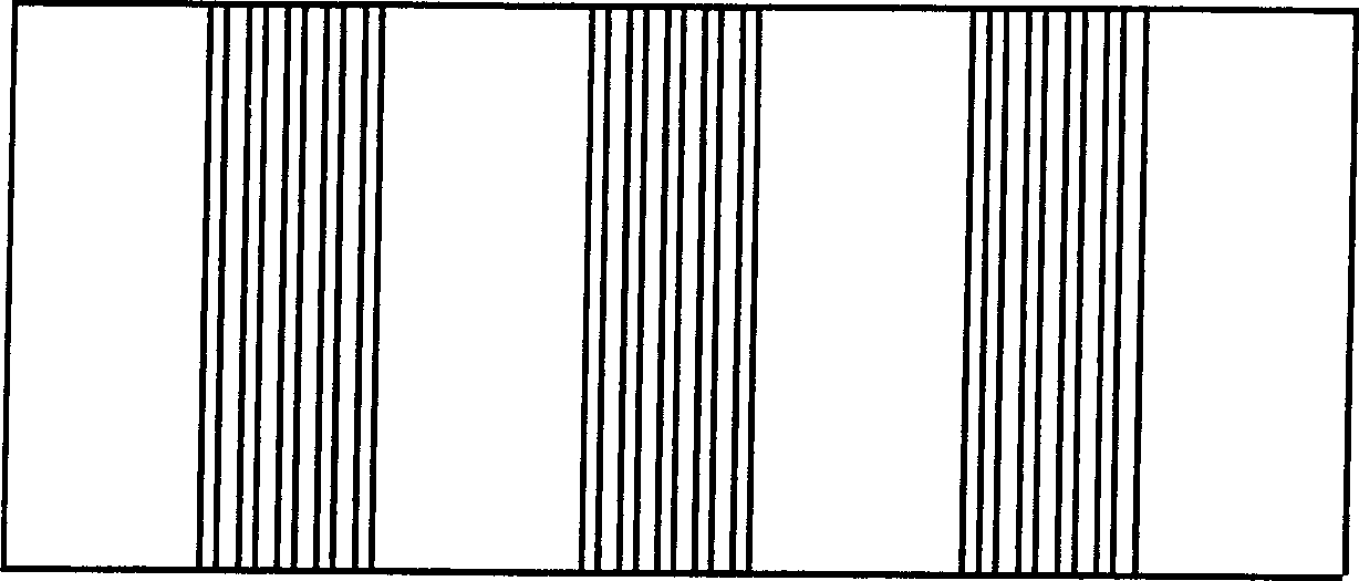 Raster polarization photomask plate and its application in projection photoetching system