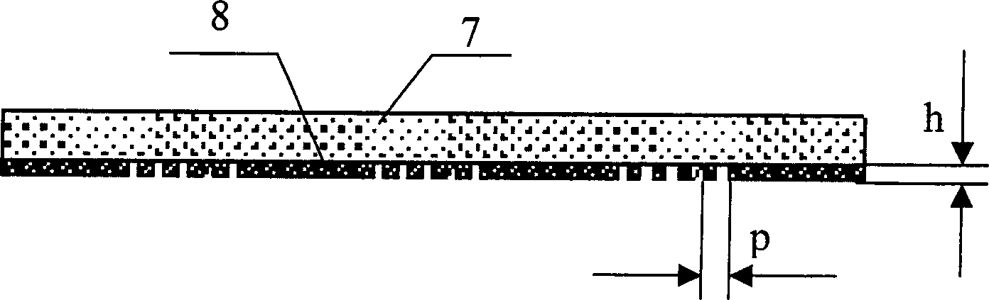 Raster polarization photomask plate and its application in projection photoetching system