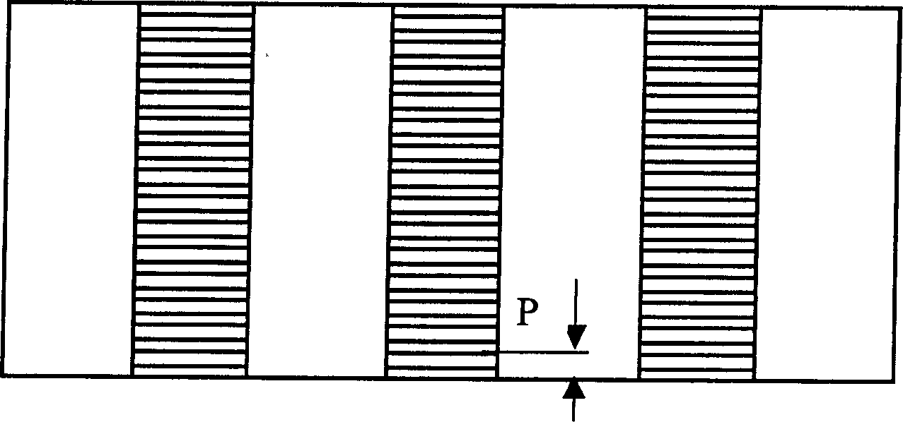 Raster polarization photomask plate and its application in projection photoetching system