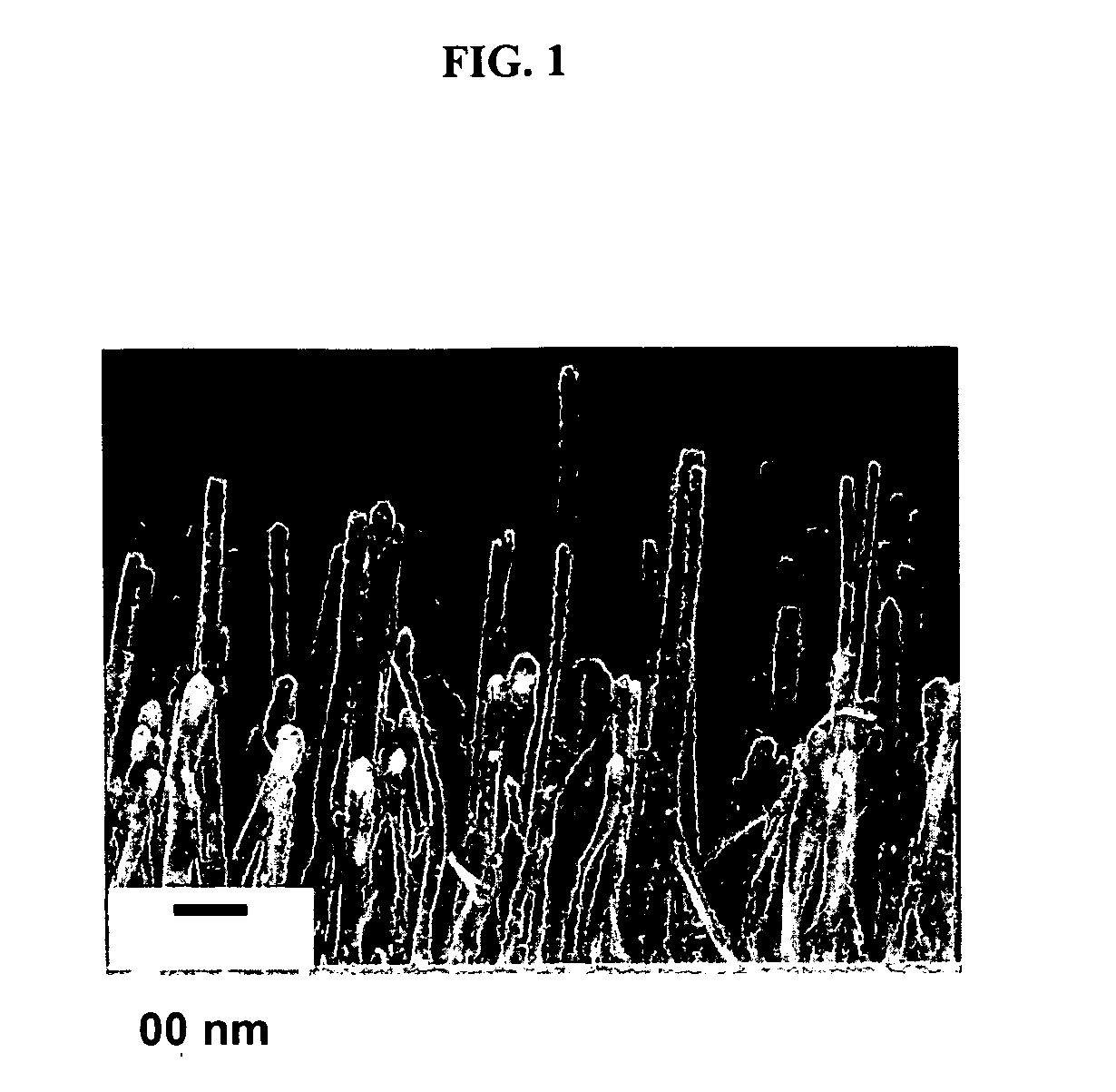 Metal-coated vertically aligned carbon nanofibers