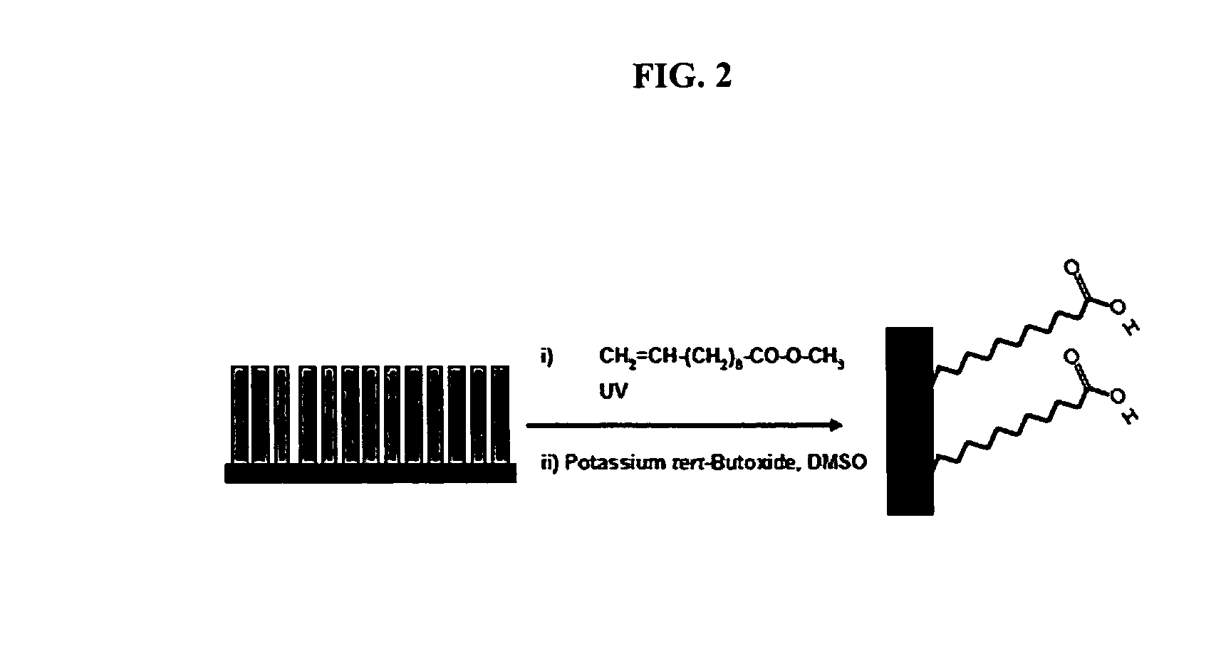 Metal-coated vertically aligned carbon nanofibers