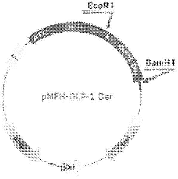 Fusion protein containing glicetin-1 as well as preparation method and application