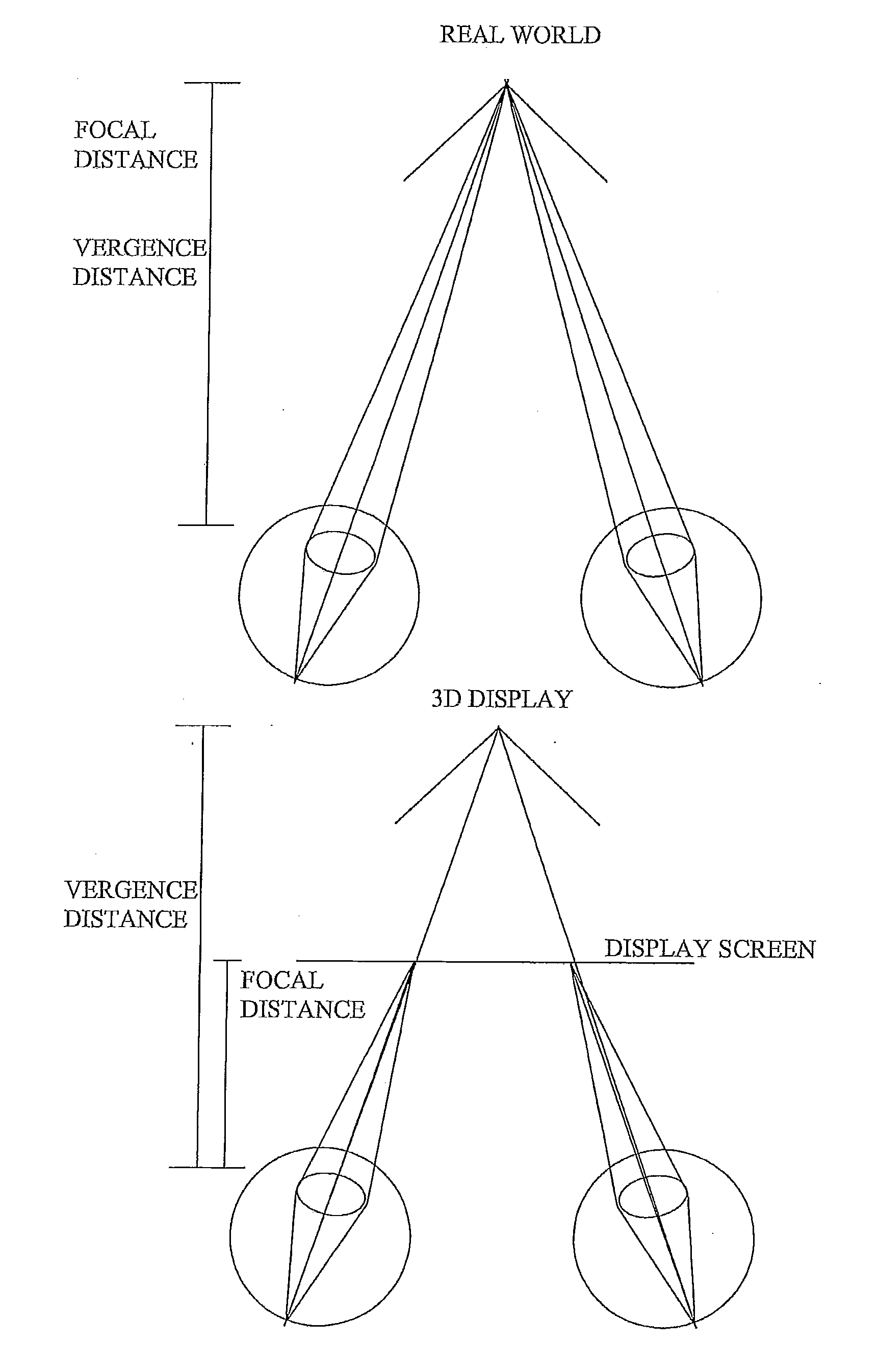 Remote user control for stereoscopic display