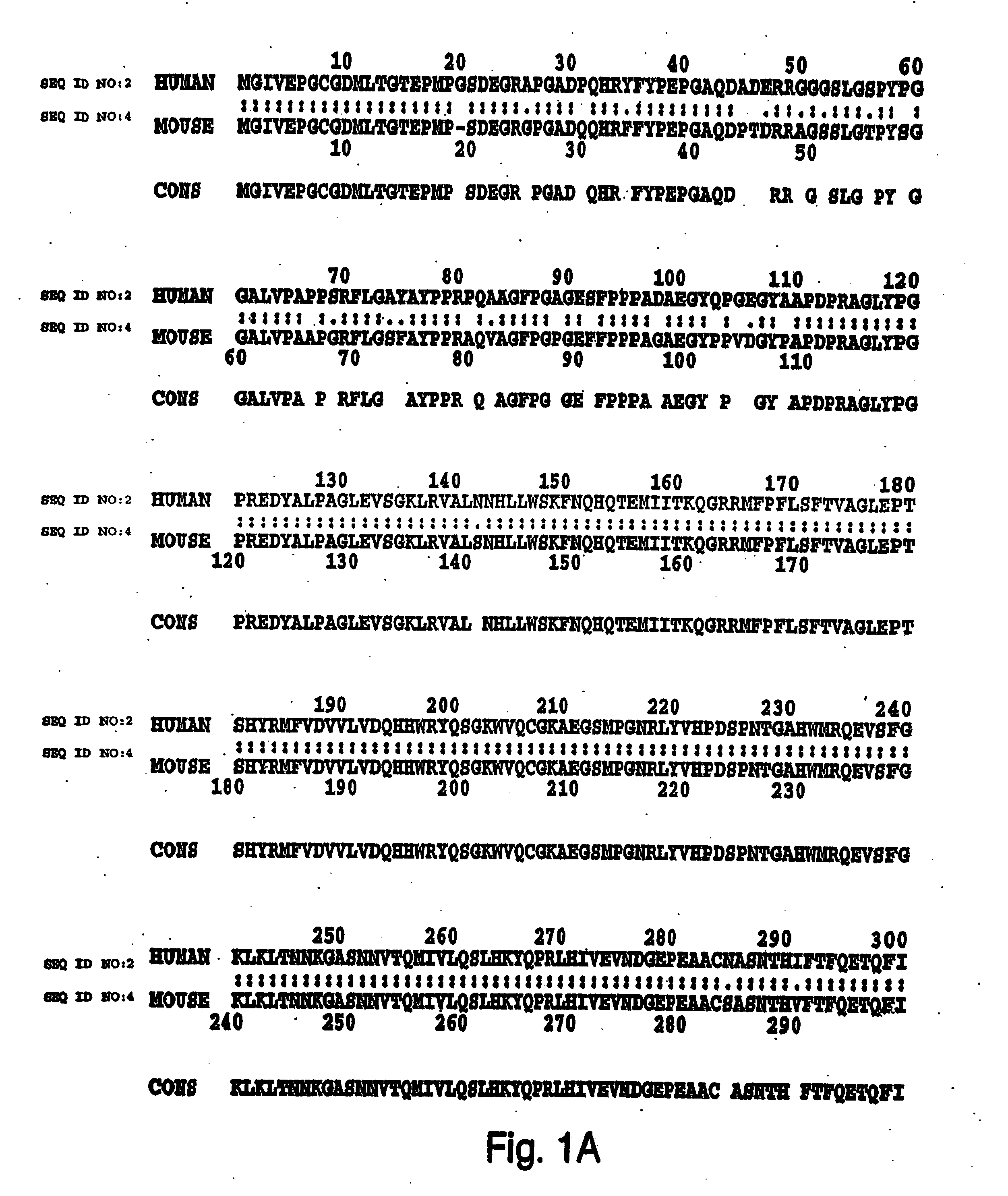 Modulation of Th2 lineage commitment by T-bet