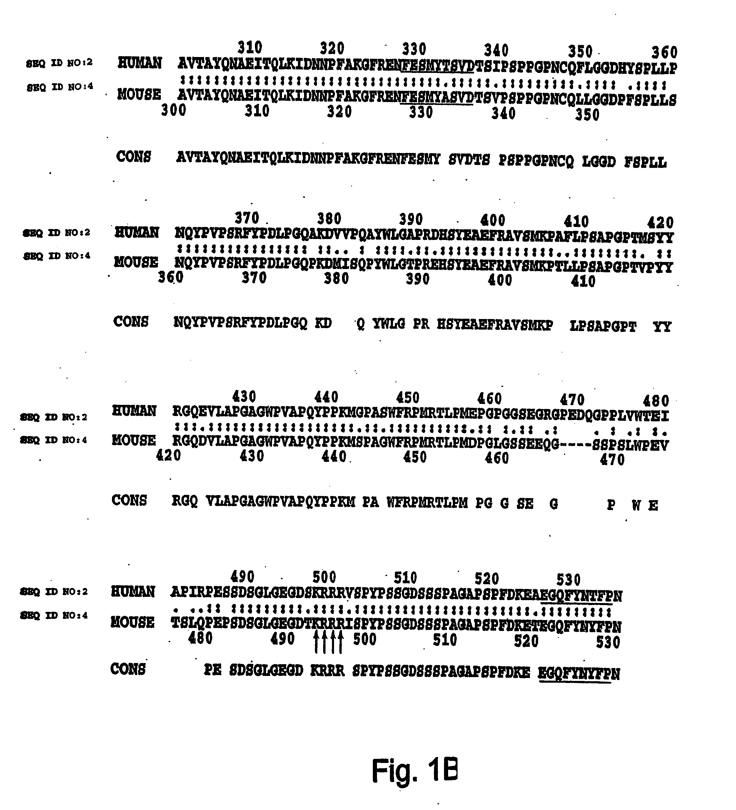 Modulation of Th2 lineage commitment by T-bet