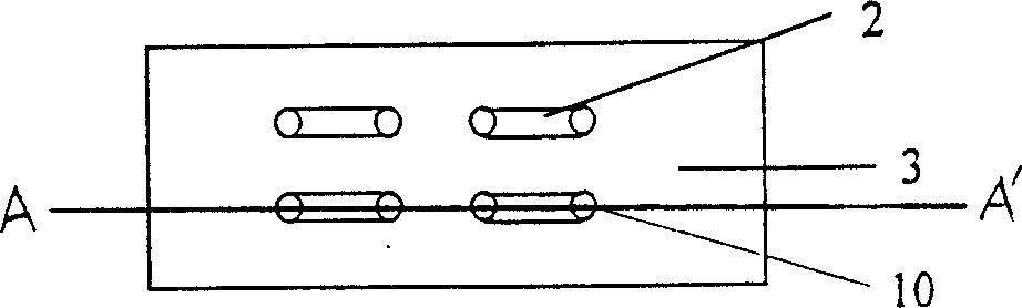 Method and apparatus for bio-molecular chip minute quantity sample application and reaction