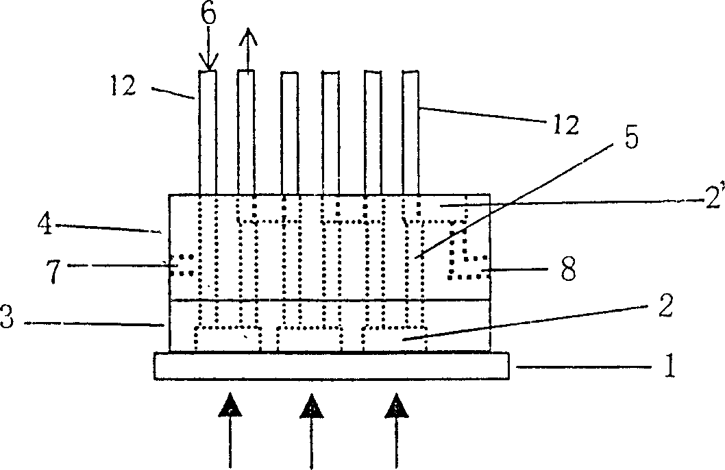 Method and apparatus for bio-molecular chip minute quantity sample application and reaction