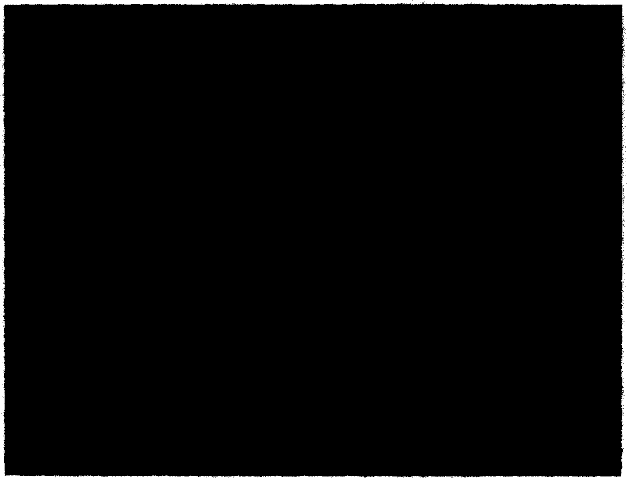 Methodc for preparing sub-micron  gemfibrozil medicament powder