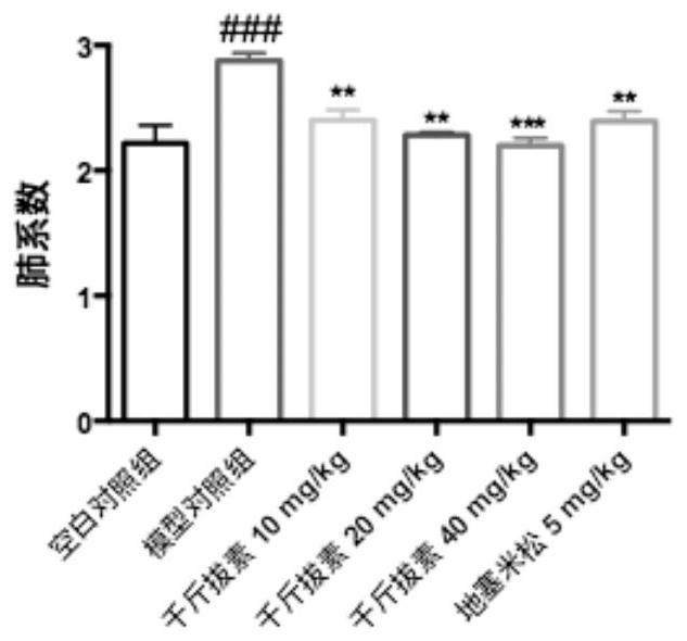 Application of philippine in preparation of medicine for treating and preventing acute pneumonia