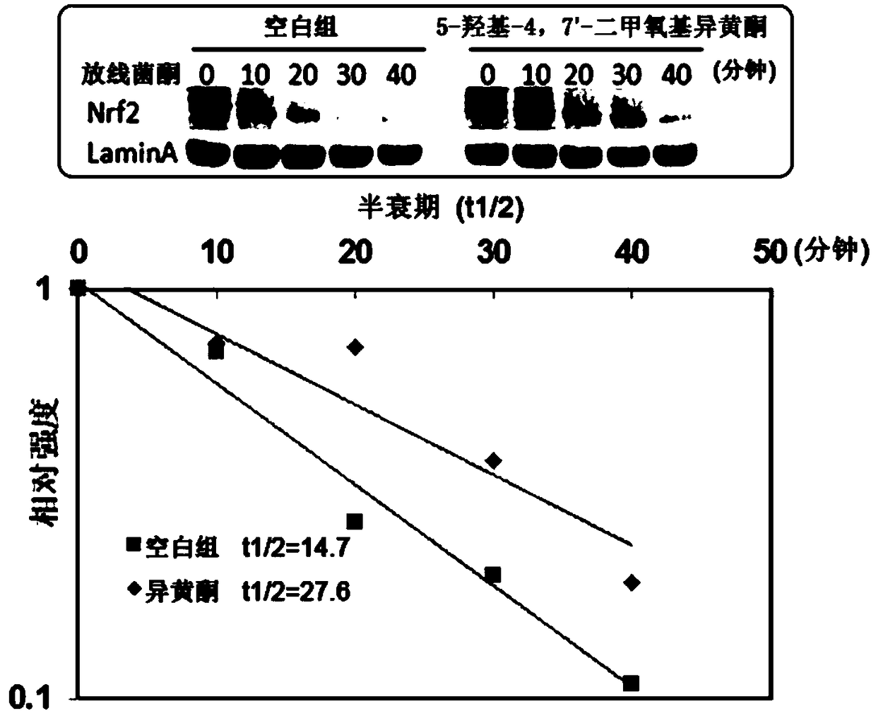 Separating method of isoflavone derivatives and application thereof