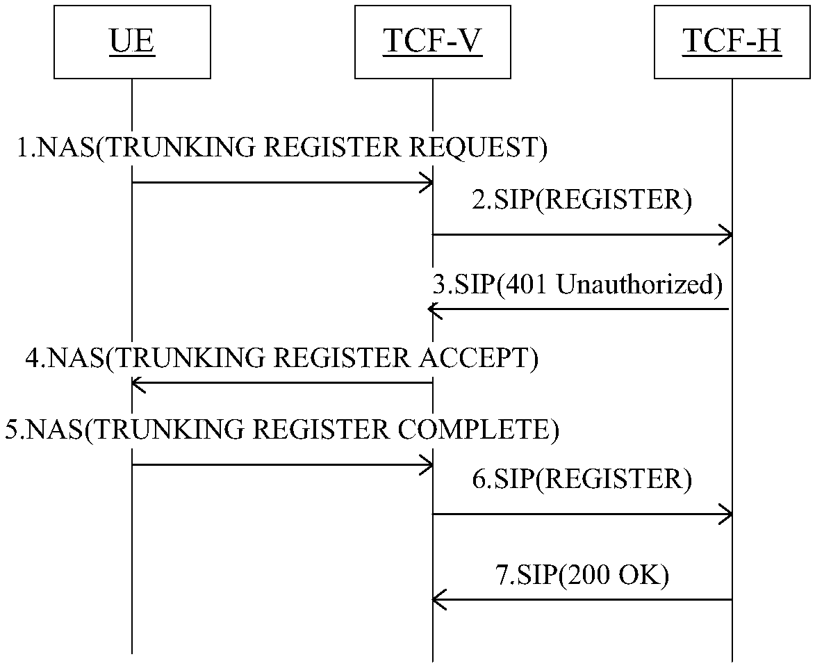 Non-access stratum abstract authentication method in trunking communication system