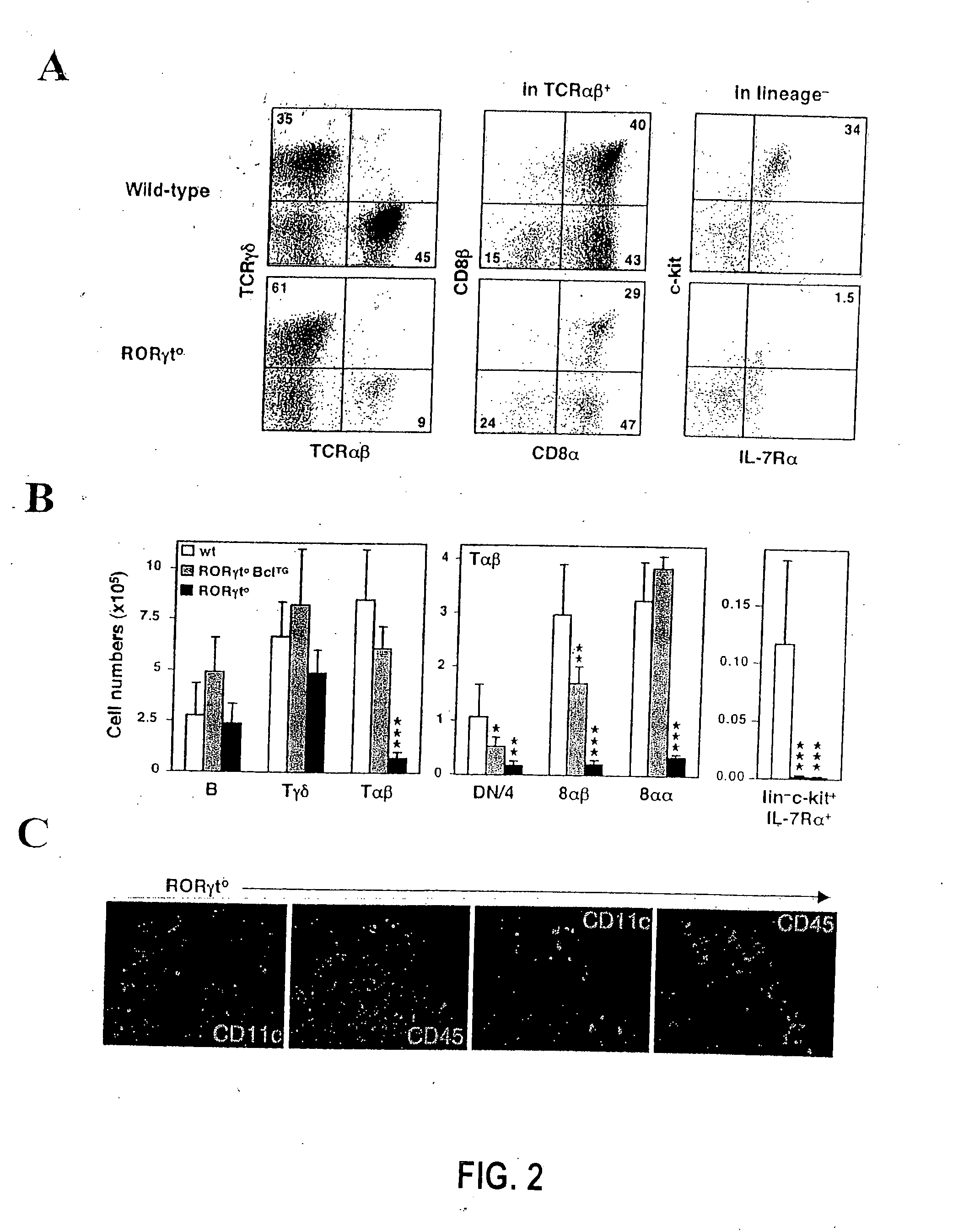 Compositions and methods for modulation of RORgammat functions