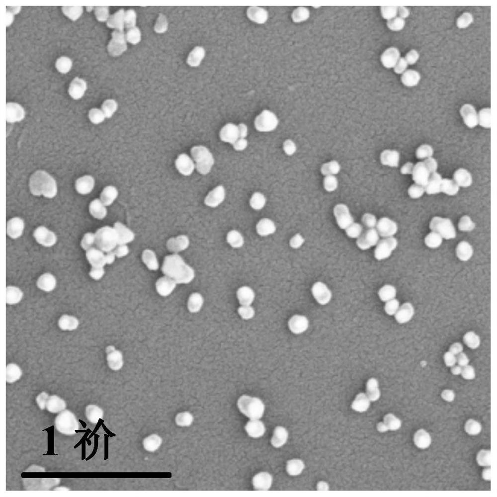 Silver-based composite adsorbent for removing radioactive iodine as well as preparation method and application of silver-based composite adsorbent