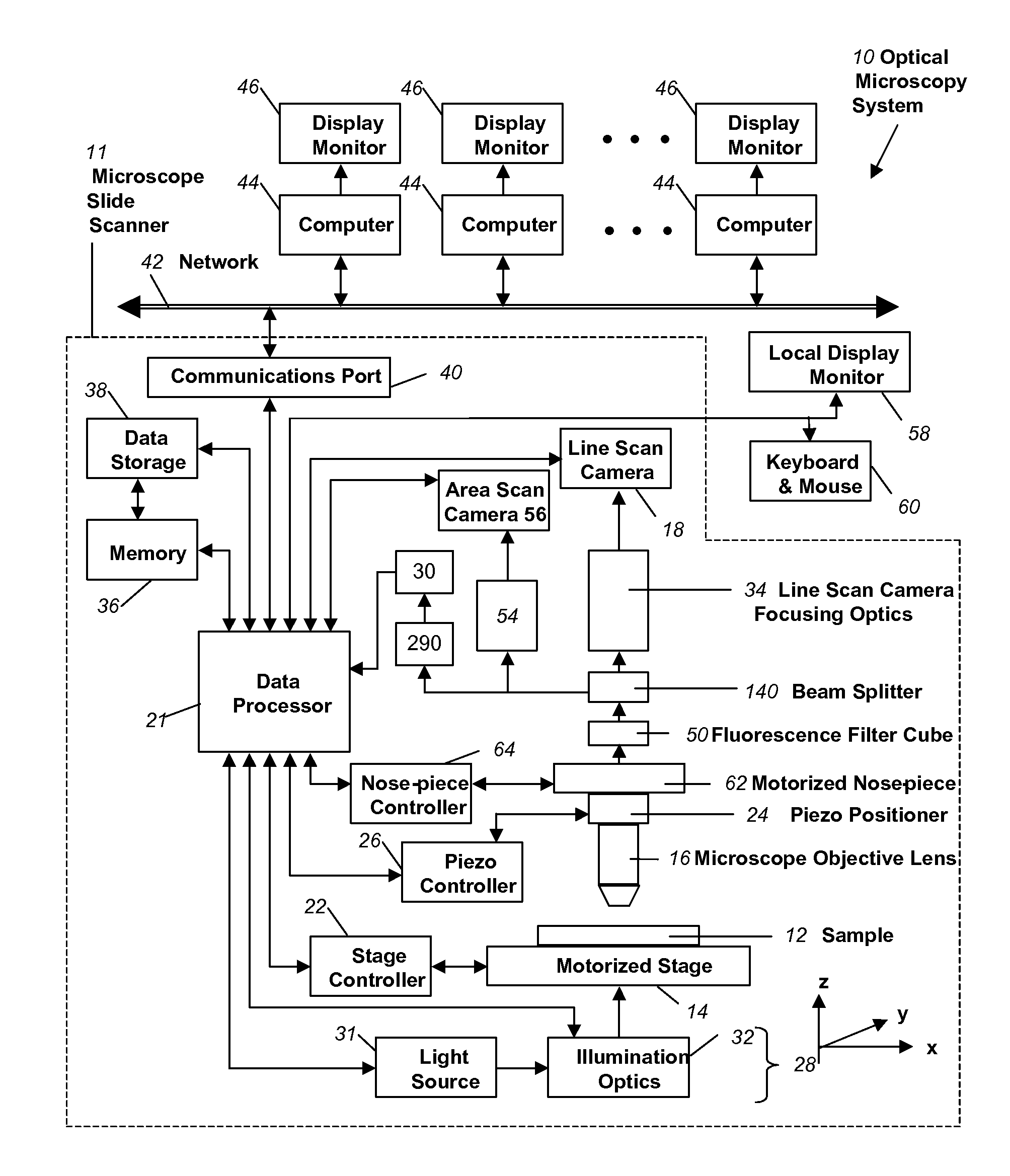 Real-time focusing in line scan imaging