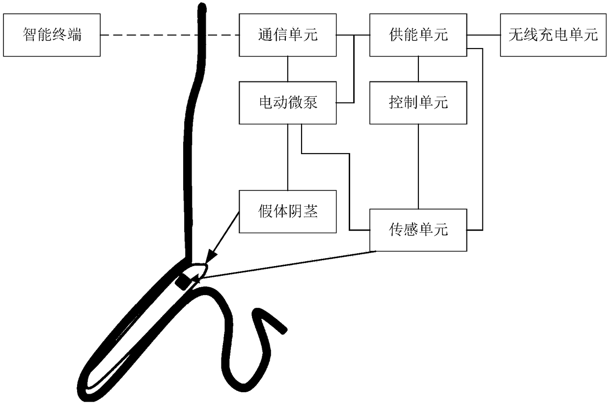 A prosthetic penis controlled using an electric micropump