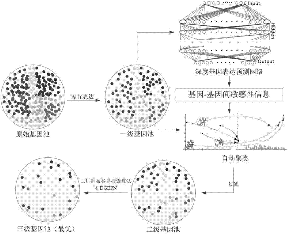 Feature gene selection method based on deep learning and evolutionary computation