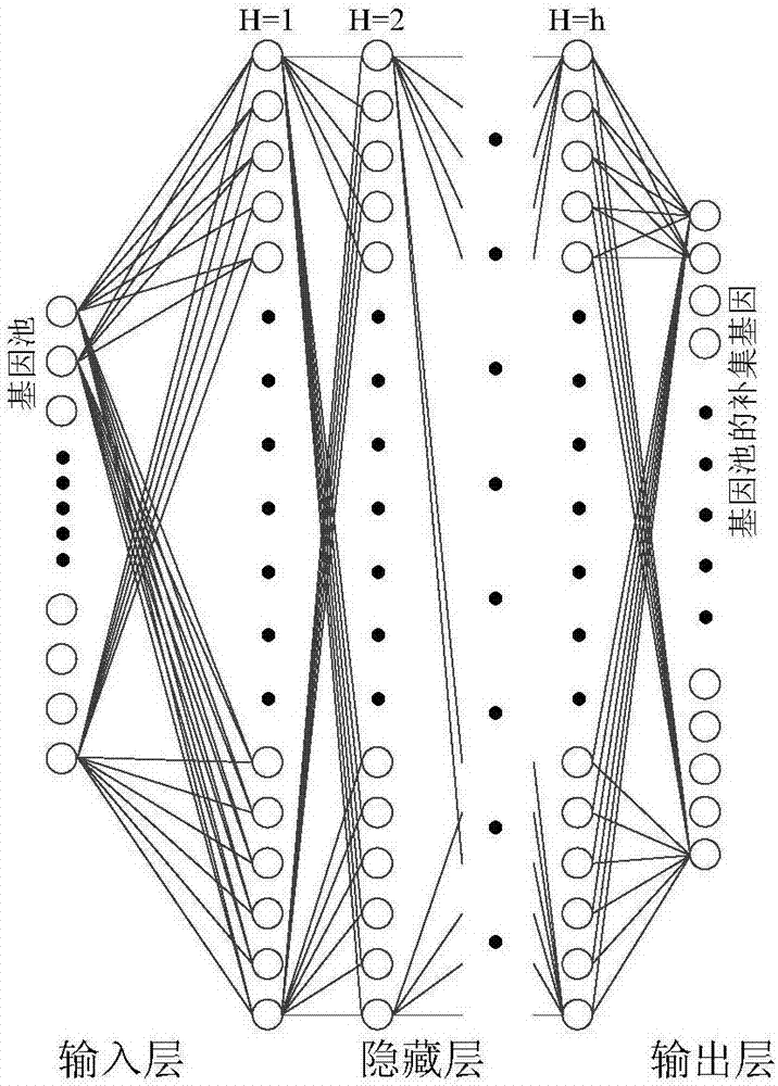 Feature gene selection method based on deep learning and evolutionary computation