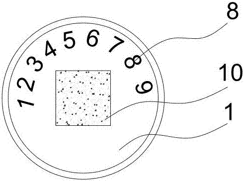 Metal magnetic wire mark for broad tonguefish