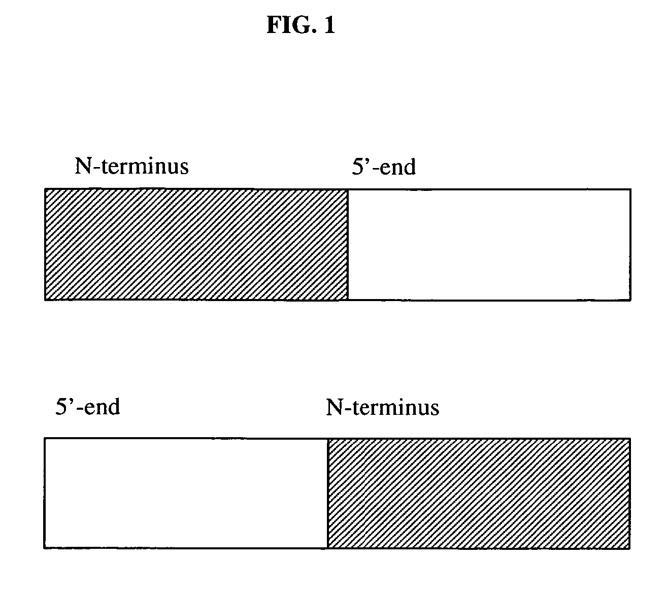 Therapeutic compositions and methods of using same