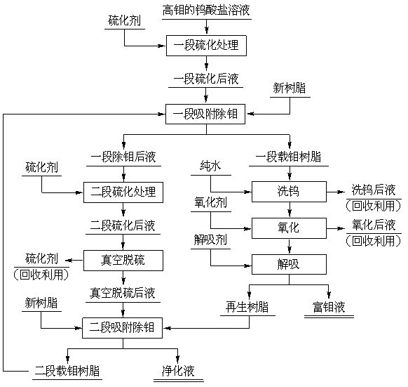 Process for removing molybdenum from tungstate solution through ion exchange method