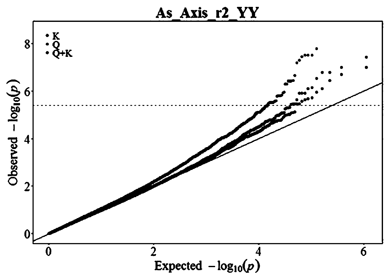 Corn arsenic stress resistant gene ZmAsR2 and intramolecular SNP label and application thereof