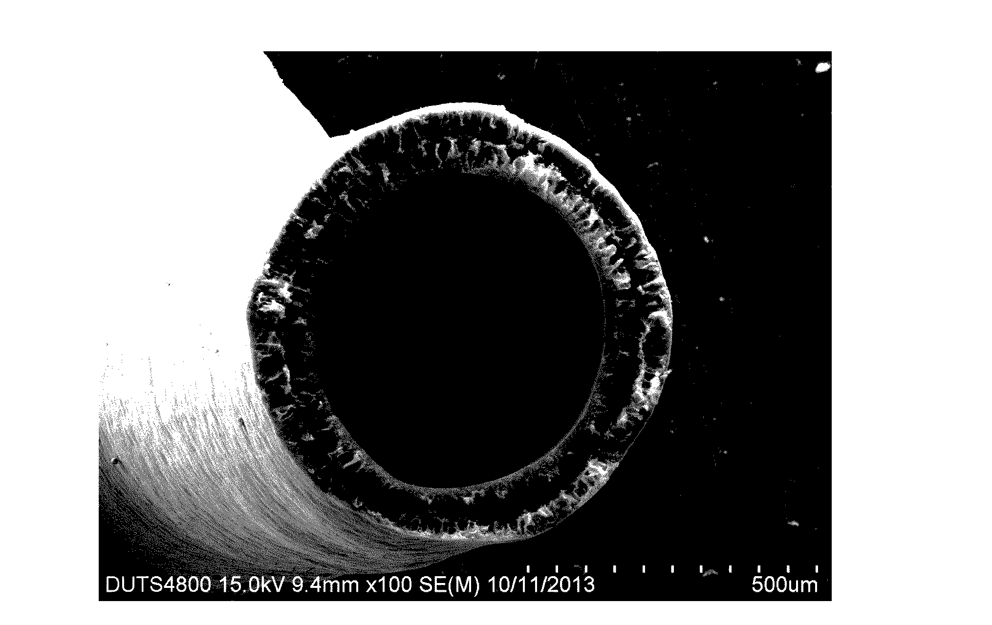 A method for the high-throughput preparation of carbon nanotube hollow fiber membranes