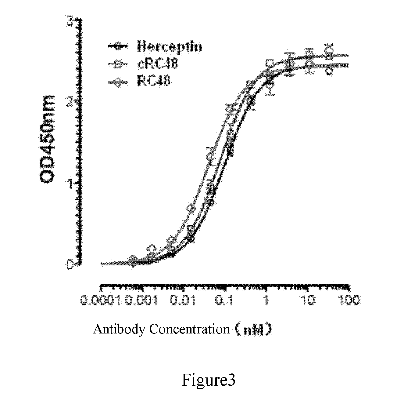 Anti-her2 antibody and conjugate thereof