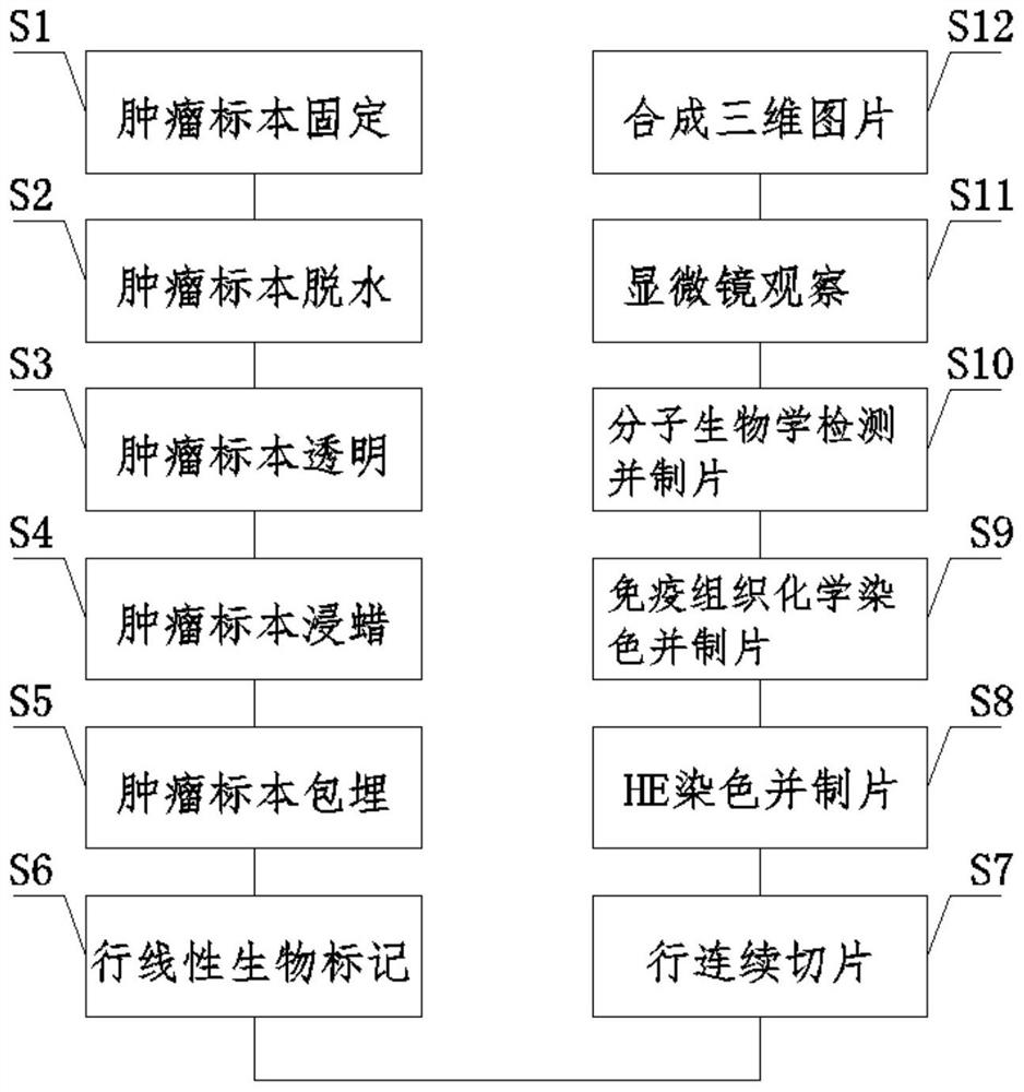 Pathological picture three-dimensional reconstruction method