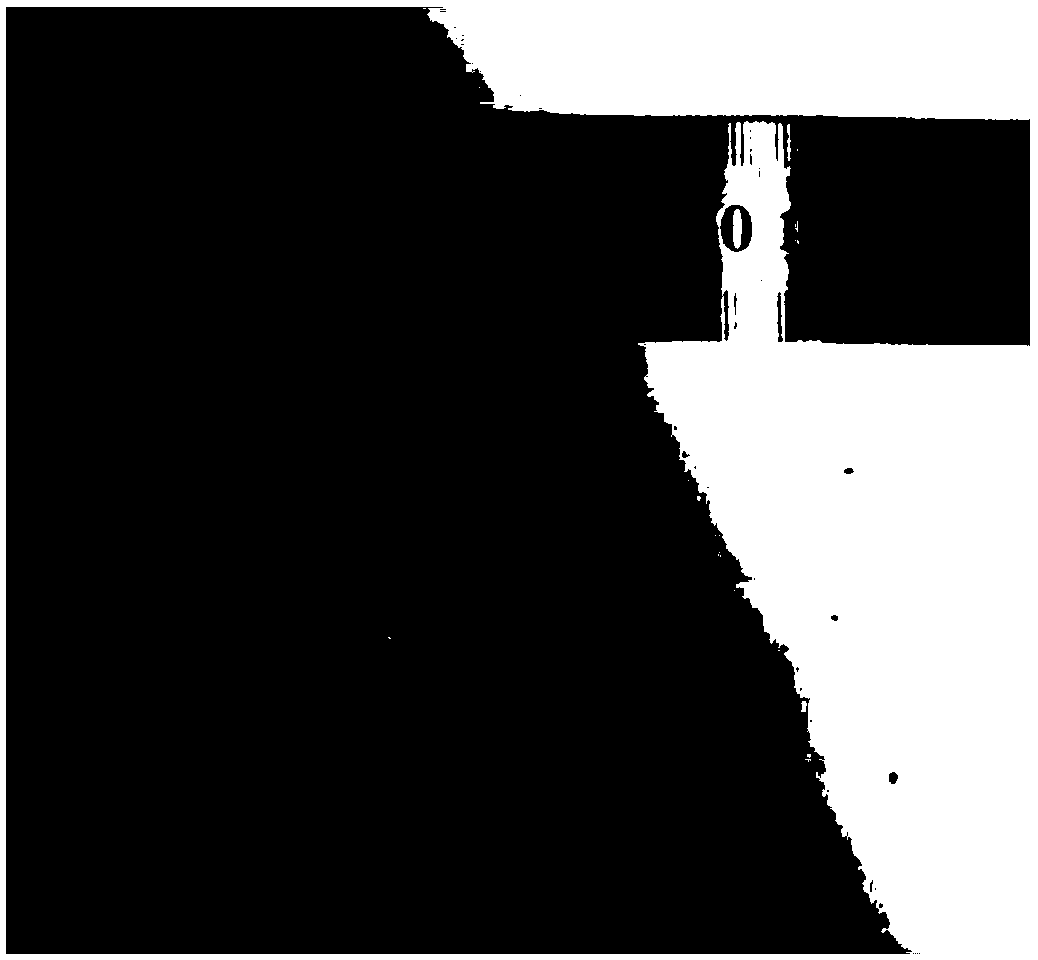 A kind of lithium-ion/sodium-ion battery composite negative electrode material and preparation method thereof